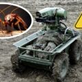 Collage za fot. R.Tarasowa / ArmyInform