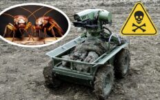 Karaluchy bojowe – śmiertelna plaga uderzyła w armię Rosji! Lęgną się wciąż nowe i mordują bezlitośnie (FOTO)