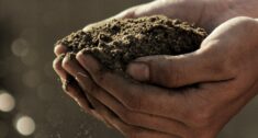 Te kraje UE domagają się powrotu do przedwojennych kwot na produkty rolne z Ukrainy