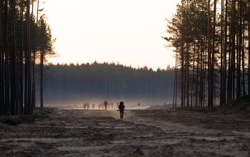ISW ujawnia prawdziwe powody ataków reżimu Łukaszenki na Litwę