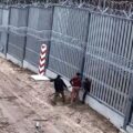 Screen z nagrania