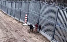 Na bezczela! Imigranci tną ogrodzenie w biały dzień i wchodzą. Czy nasi zdążą ich złapać? (WIDEO) Na bezczela! Imigranci tną ogrodzenie w biały dzień i wchodzą. Czy nasi zdążą ich złapać? (WIDEO)