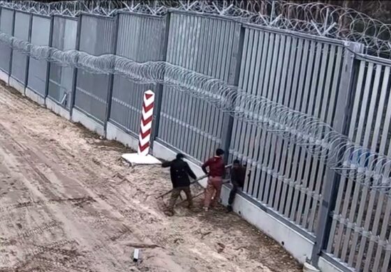 Na bezczela! Imigranci tną ogrodzenie w biały dzień i wchodzą. Czy nasi zdążą ich złapać? (WIDEO)