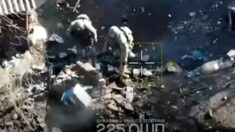 Zrzucili im na głowy ule z “bojowymi pszczołami”! “Wybaczcie, że nie byliśmy w garniturach”