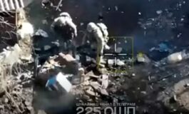 Zrzucili im na głowy ule z "bojowymi pszczołami"! "Wybaczcie, że nie byliśmy w garniturach" (WIDEO)