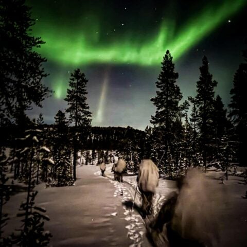 Finlandia i Polska pokierują „Strażą Wschodniej Flanki”