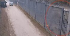 „Podłożyli się”. Kamera pokazała, kto na granicy z Białorusią atakuje polską Straż Graniczną (WIDEO)