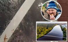 Mega-hit turystyczny Łukaszenki: most nad Niemnem! Orzeszkowa przewraca się w grobie…