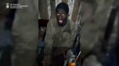 Prawdziwy bojownik ruskiego miru! Oto jakiego wzięli jeńca… (WIDEO)