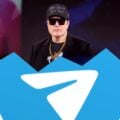 Elon Musk i logo Telegramu