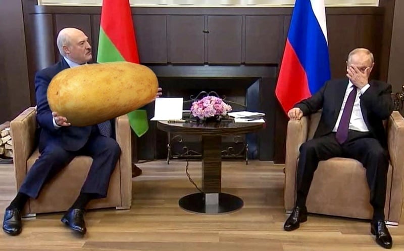 Collage: media społecznościowe