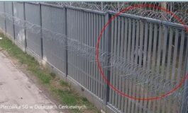 Agresywni migranci ranili polskiego strażnika na granicy z Białorusią