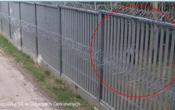 Agresywni migranci ranili polskiego strażnika na granicy z Białorusią