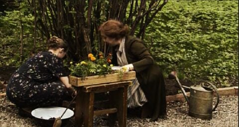 Szukam potomków Stanisława Rebes i jego żony Marii Rebes z d. Jankowska