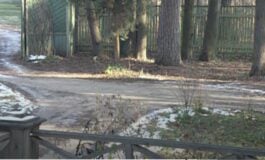 Witek ze Stanisławowa