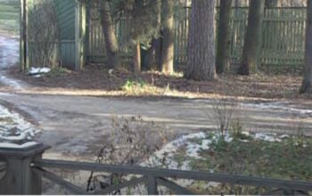 Maria z domu Olszańska