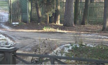 Szukam: Czenisówna Jadwiga z Koniawy na Wileńszczyźnie