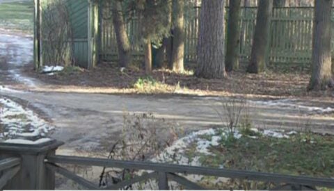 Maria z domu Olszańska