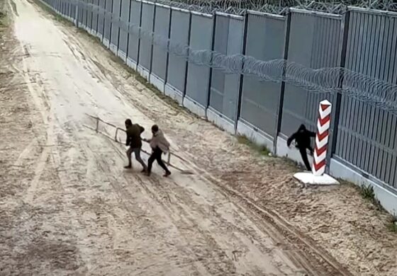 Nawet się nie kryją! Białorusini w mundurach pomogli imigrantom ciąć barierę i wtargnąć do Polski (WIDEO)