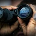 Collage za fot. A.Malgawko - RIA Novosti