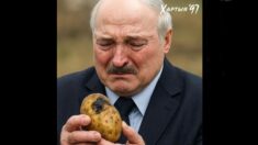 Łukaszenka wykrył kartoflowy spisek! “Schowali je, żeby we mnie uderzyć”
