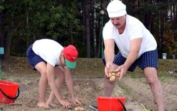 Kretynizm Łukaszenki w pełnej krasie! Wpisze kartofle do Konstytucji?