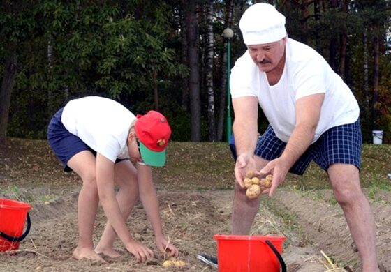 Kretynizm Łukaszenki w pełnej krasie! Wpisze kartofle do Konstytucji?