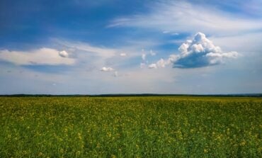 Ukraina zmieni politykę eksportową po zakończeniu swobodnego dostępu do rynku UE