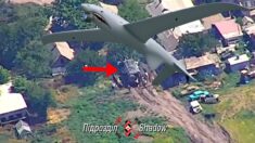 Shark kontra Nawodczik-2. Pozostał wrak i trupy (WIDEO) Shark kontra Nawodczik-2. Pozostał wrak i trupy (WIDEO)