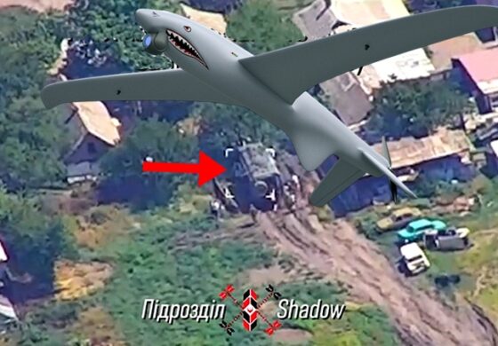 Shark kontra Nawodczik-2. Pozostał wrak i trupy (WIDEO)