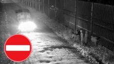 Ta plaga nie ma końca! Znów 520 prób wdarcia się z Białorusi