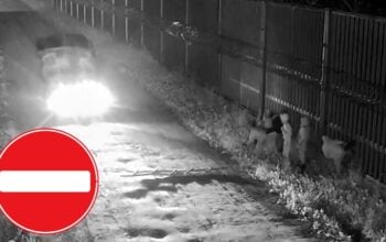 Ta plaga nie ma końca! Znów 520 prób wdarcia się z Białorusi