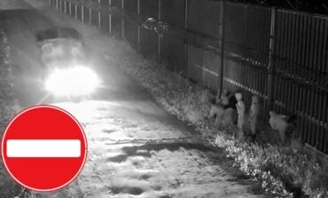 Ta plaga nie ma końca! Znów 520 prób wdarcia się z Białorusi