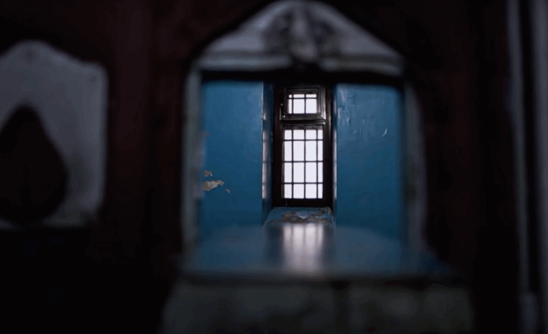 Białoruś krajem „zdrajców”? Szokujące dane