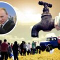 Collage / Novaya Gazeta
