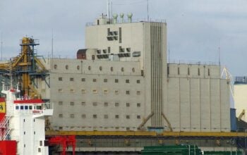 Polskie firmy ponoszą straty z powodu braku ukraińskiego zboża