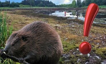 Na Białorusi zniknęło w nocy całe jezioro! Wczoraj jeszcze było...