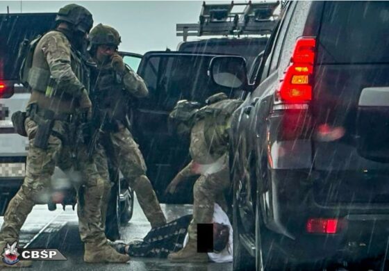 Gang Ukraińców w Polsce rozbity. Byli bezlitośni dla ofiar