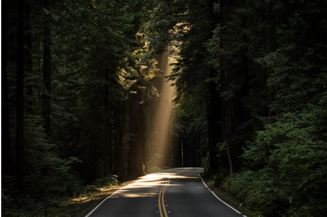 Coś wielkiego ruszyło z rosyjskich lasów… Białoruś zdejmuje blokadę po raz pierwszy od 100 lat!