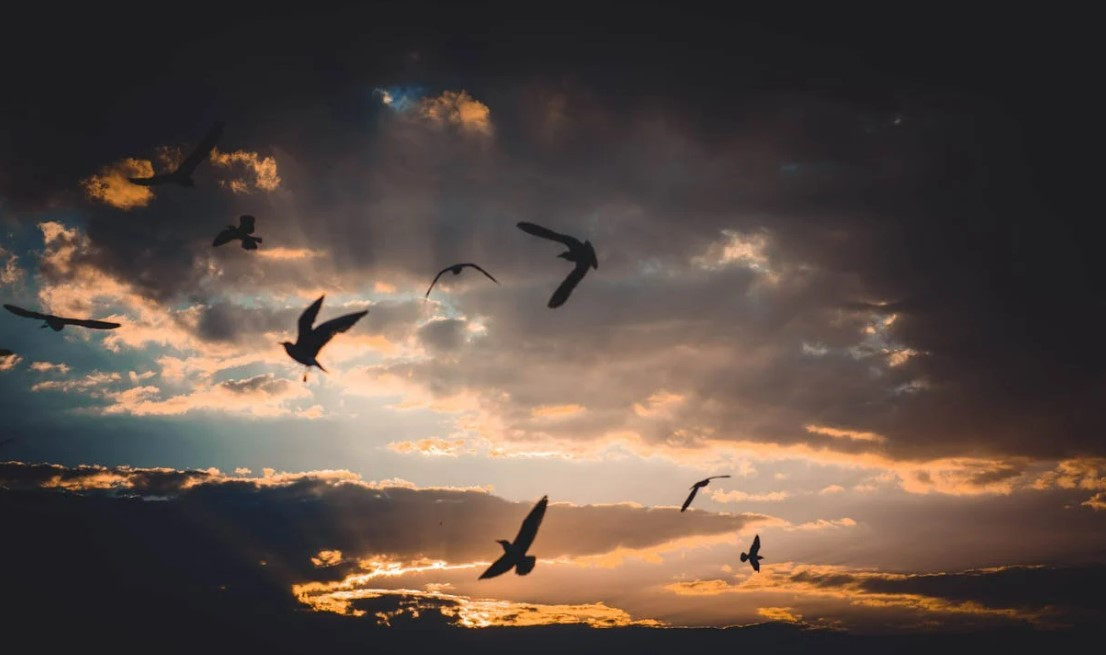 Tego jeszcze nie było: Rosja szykuje apokalipsę nad Ukrainą