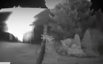 Jeśli nie z Białorusi, to skąd ten dron? „To nie jest oficjalne”