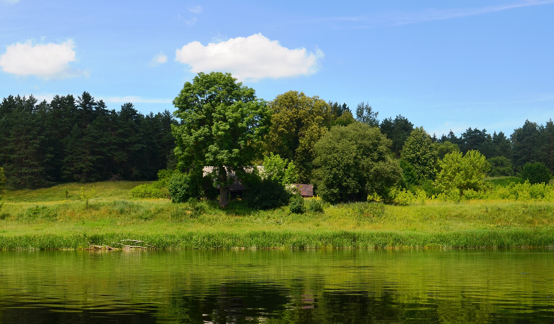 Tak unikniesz korków na granicy z Polską! Straż Graniczna podpowiada najlepsze trasy