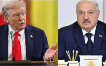 Masz żywy „towar”, zróbmy deal!