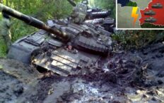 Obrona Polski zabagniona! Zatrzymają ruskie czołgi na linii… błota