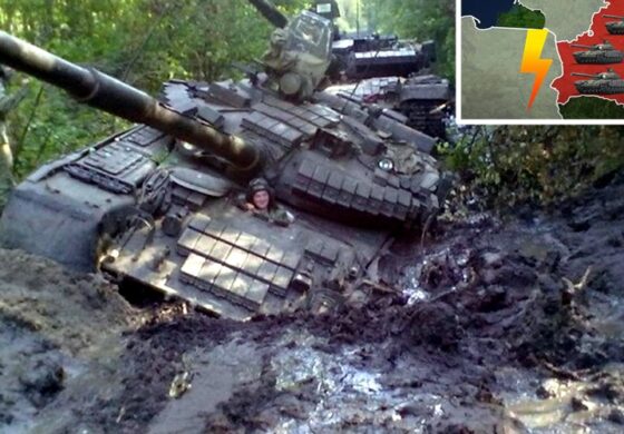 Obrona Polski zabagniona! Zatrzymają ruskie czołgi na linii... błota