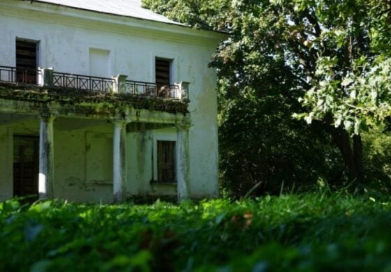 Hańba! Bibliotekę, w której tworzył Mickiewicz wycenili taniej niż pizzę!