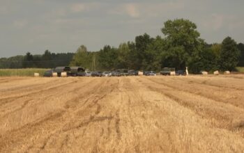Przyleciał z Białorusi i rozbił się 100 km. od Warszawy!