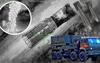 Odporna bestia! I skrajnie groźna. Ale ją wykończyli (WIDEO)