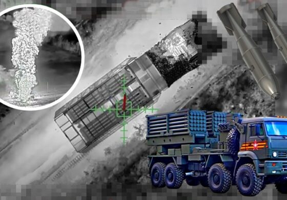 Odporna bestia! I skrajnie groźna. Ale ją wykończyli (WIDEO)