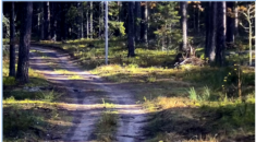 Spodziewali się migrantów, gdy nagle na ścieżce …  (WIDEO)